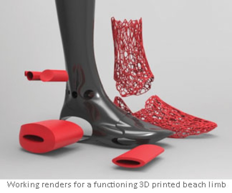 3d printed beach limb